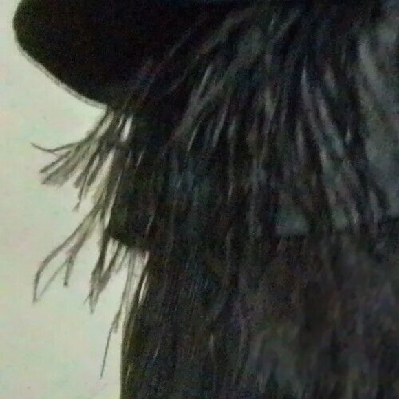 Mini Lace Black Feathers Taffeta Dress Size XXS B - Picture 3 of 8